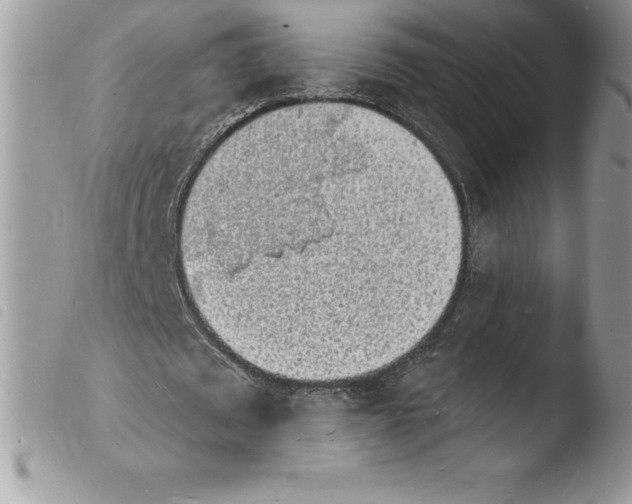 X0000103970673200810171925