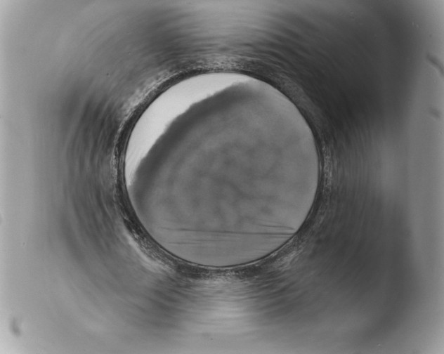 X0000103970674200810171925
