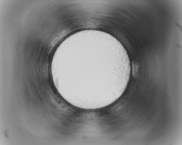 X0000103970675200810171925