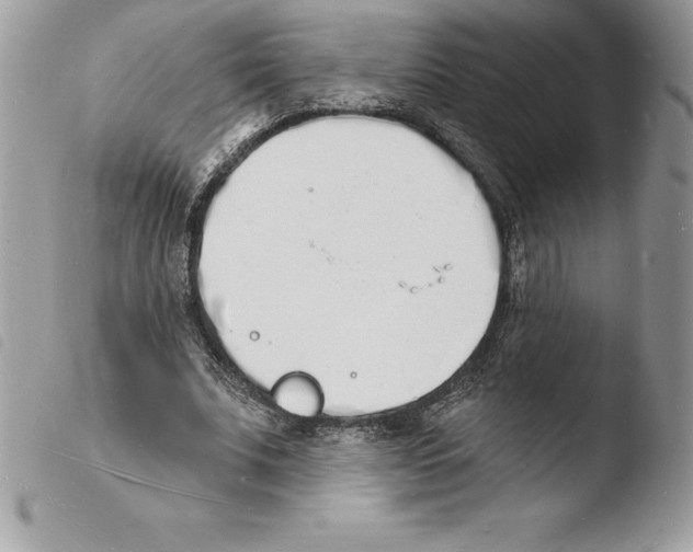 X0000103970679200810171925