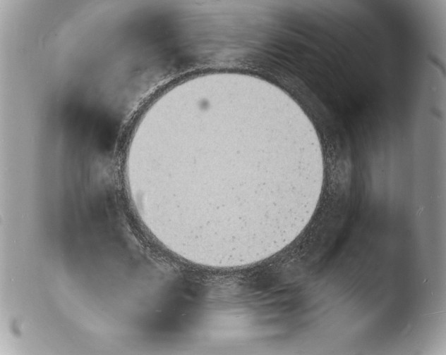 X0000103970680200810171925