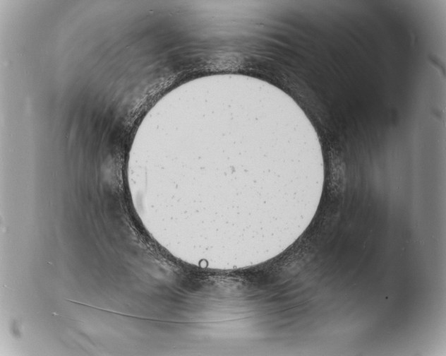 X0000103970681200810171925