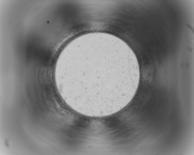 X0000103970684200810171925