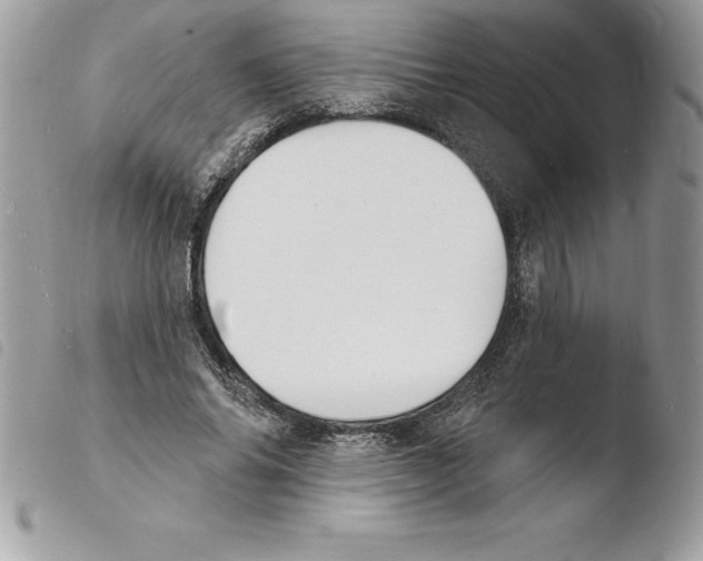 X0000103970686200810171925