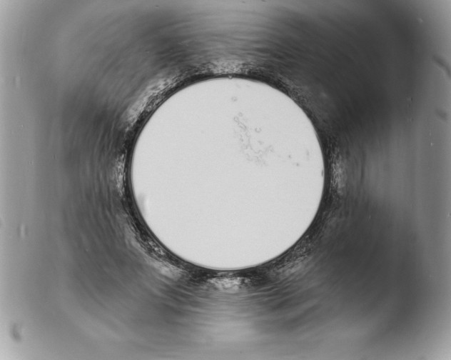 X0000103970687200810171925