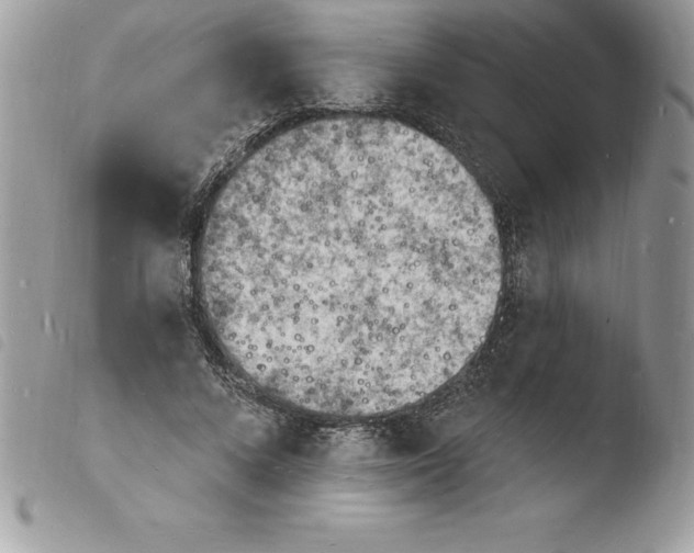 X0000103970688200810171925
