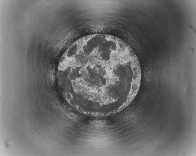X0000103970691200810171925
