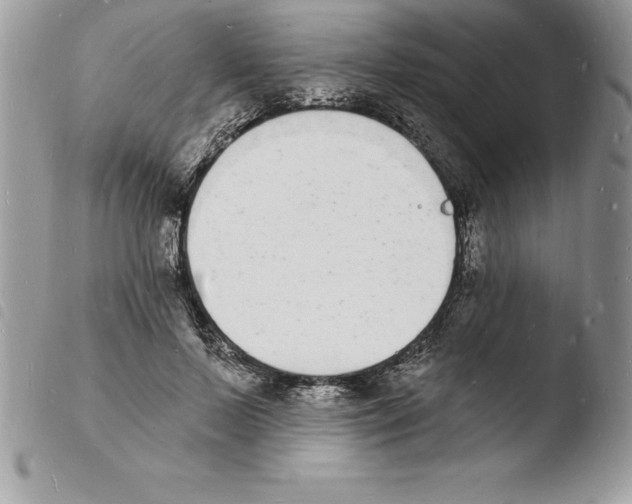 X0000103970695200810171925