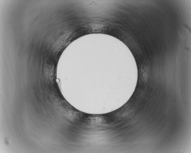 X0000103970698200810171925