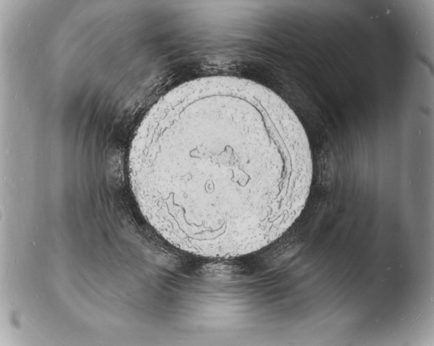 X0000103970699200810171925