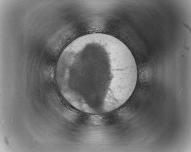 X0000103970701200810171925
