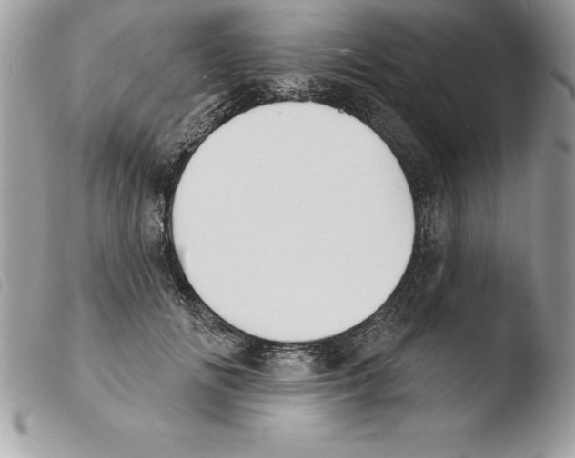 X0000103970702200810171925