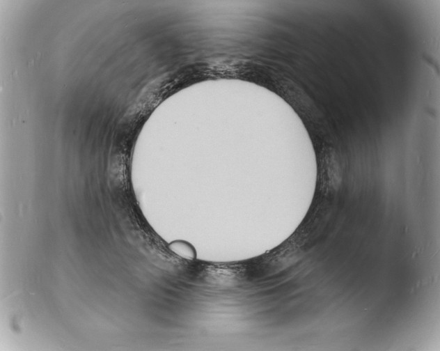 X0000103970706200810171925