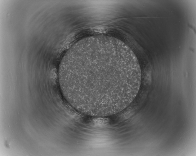 X0000103970707200810171925