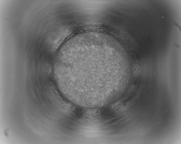 X0000103970709200810171925