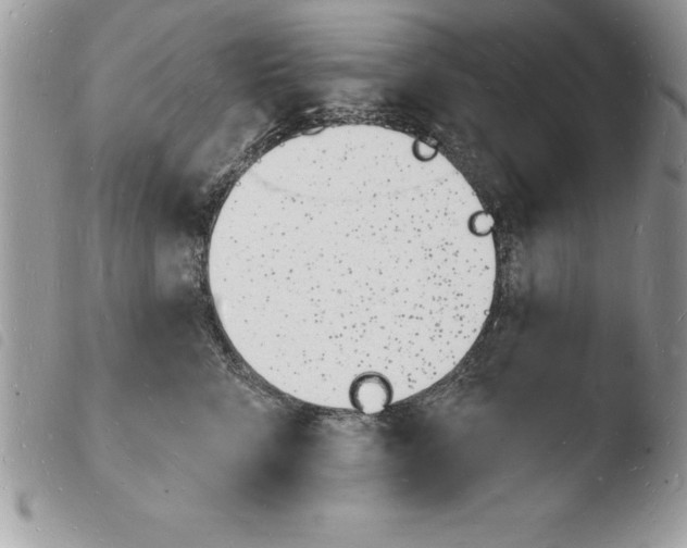 X0000103970712200810171925