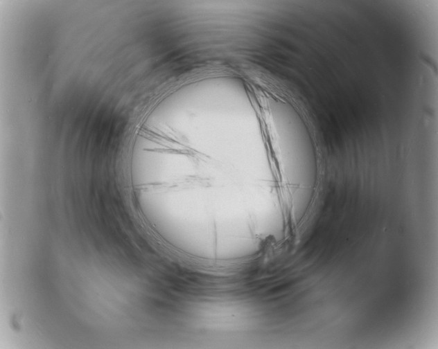 X0000103970717200810171924