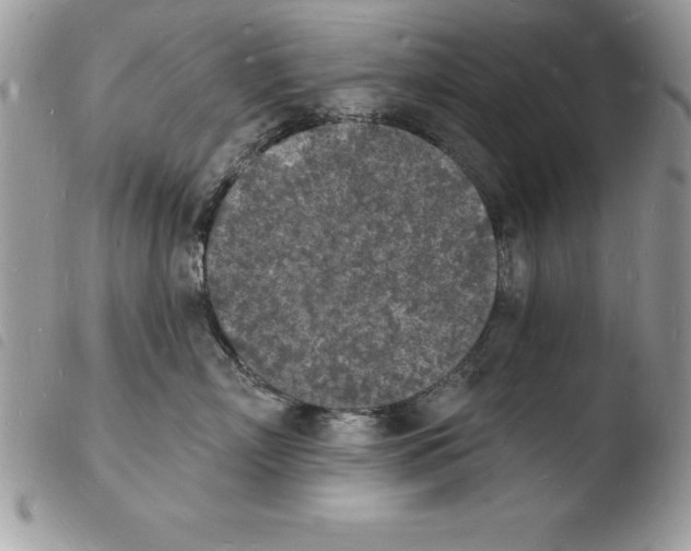 X0000103970718200810171924