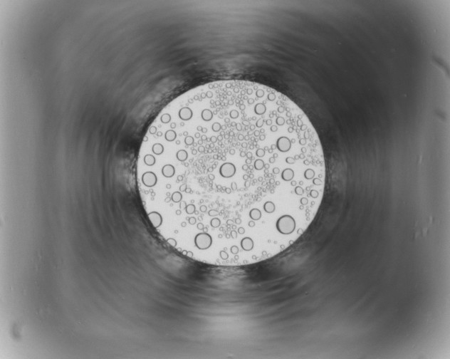 X0000103970719200810171924