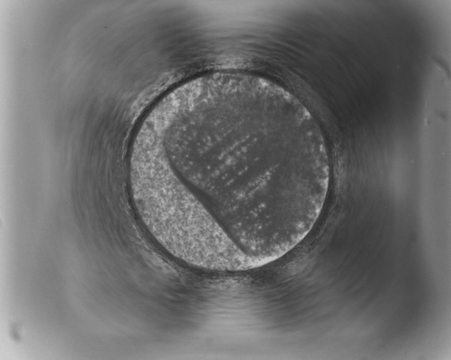 X0000103970721200810171924