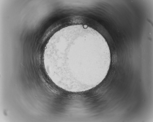 X0000103970722200810171924