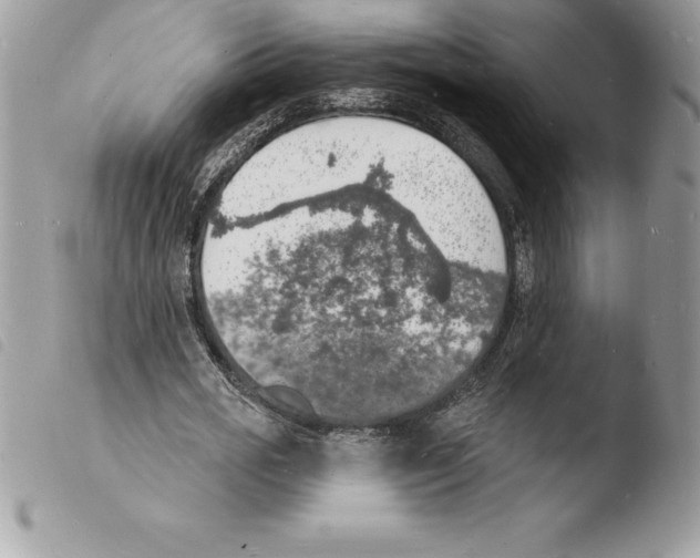 X0000103970725200810171924