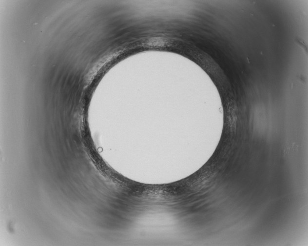 X0000103970728200810171924