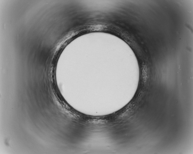 X0000103970730200810171924