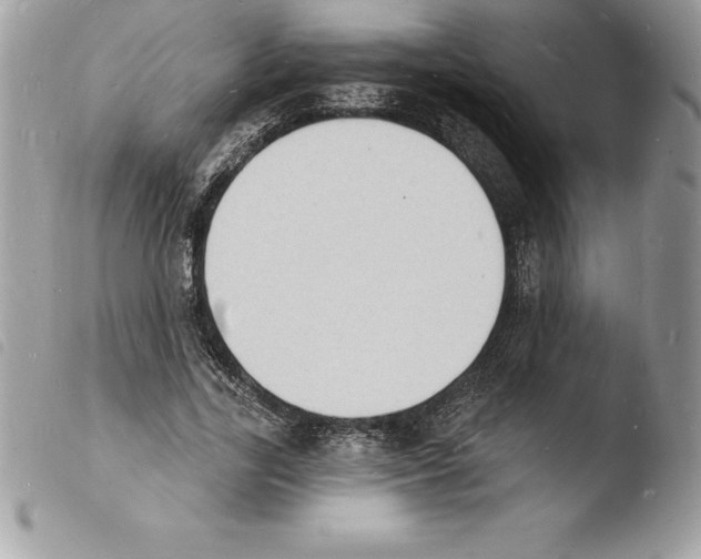 X0000103970731200810171924
