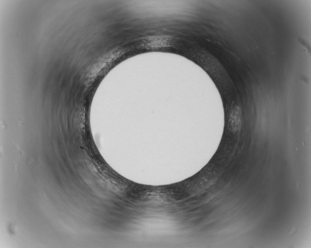 X0000103970732200810171924