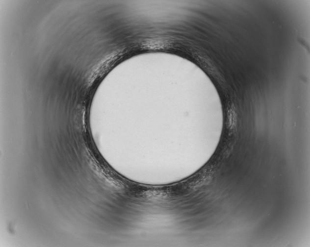 X0000103970733200810171924