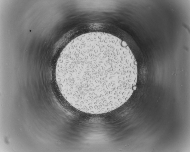 X0000103970734200810171924