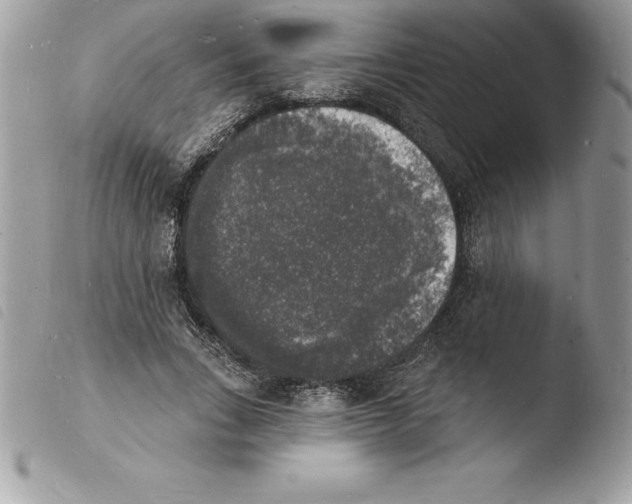 X0000103970735200810171924