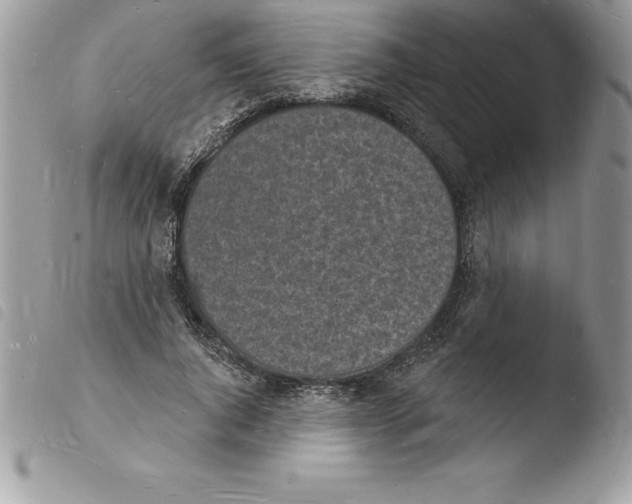 X0000103970736200810171924