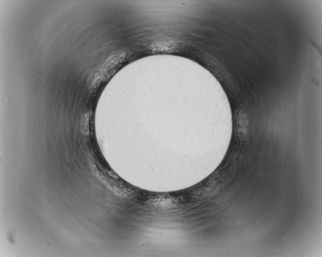 X0000103970738200810171924