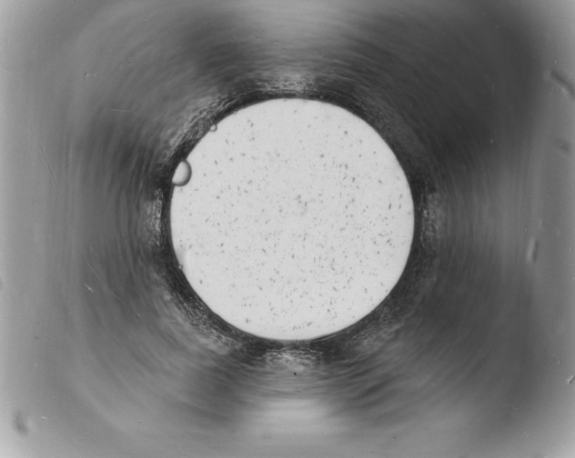 X0000103970739200810171924