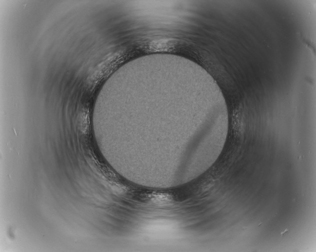 X0000103970741200810171924