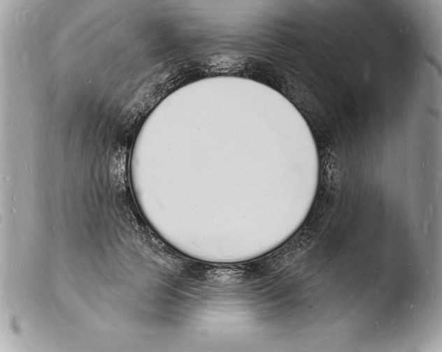 X0000103970745200810171924