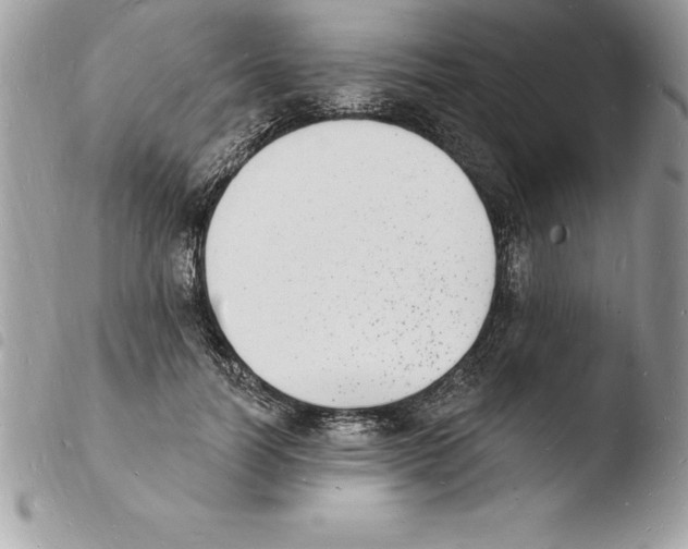 X0000103970746200810171924