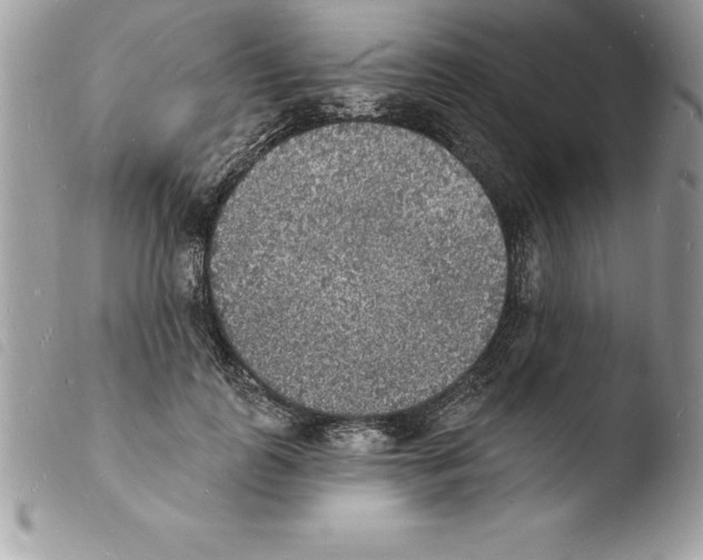X0000103970747200810171924