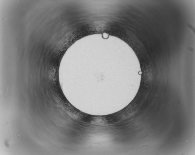 X0000103970750200810171924