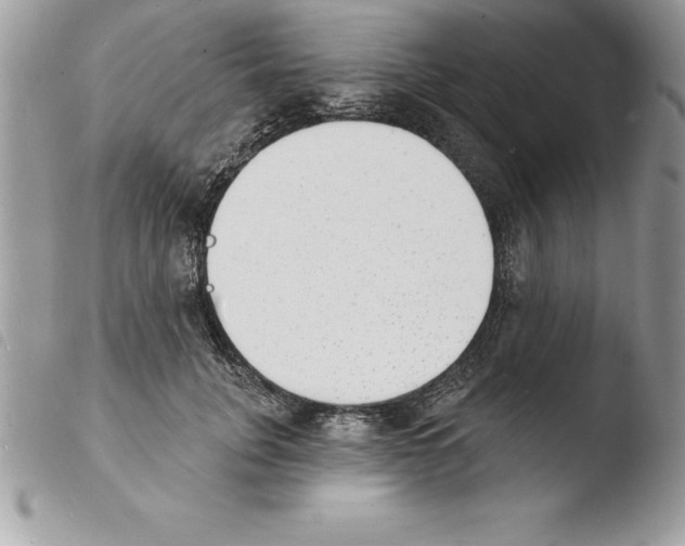 X0000103970751200810171924