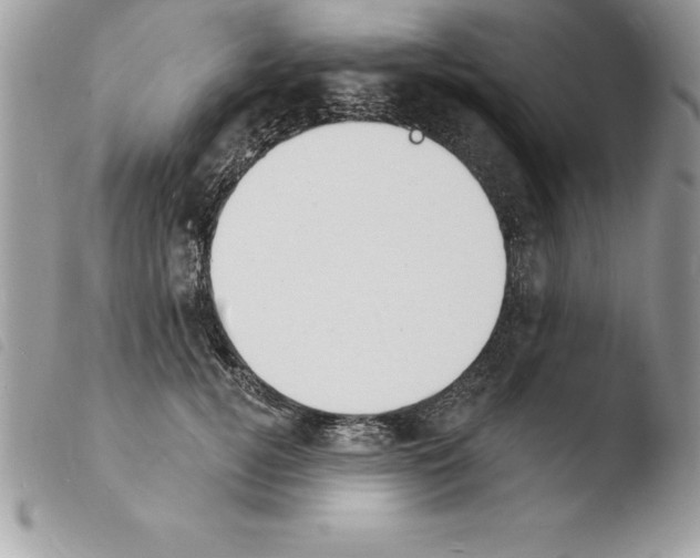 X0000103970752200810171924