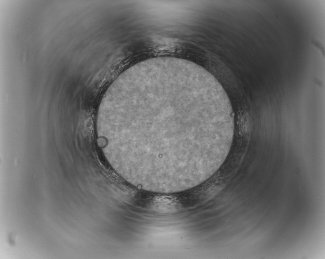 X0000103970753200810171924