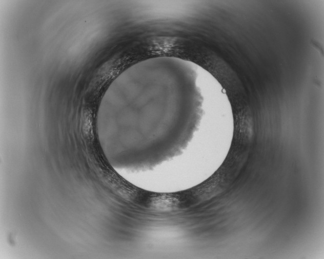 X0000103970754200810171924
