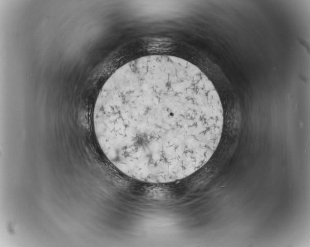 X0000103970755200810171924