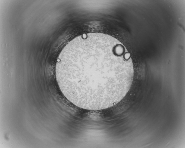 X0000103970756200810171924