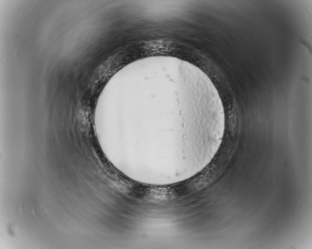 X0000103970757200810171924