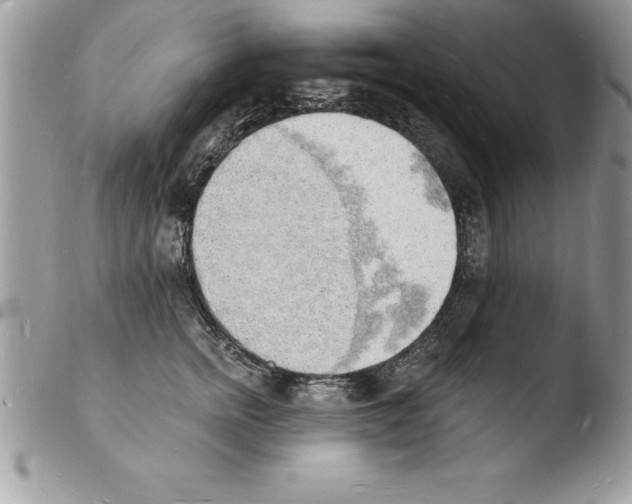 X0000103970758200810171924
