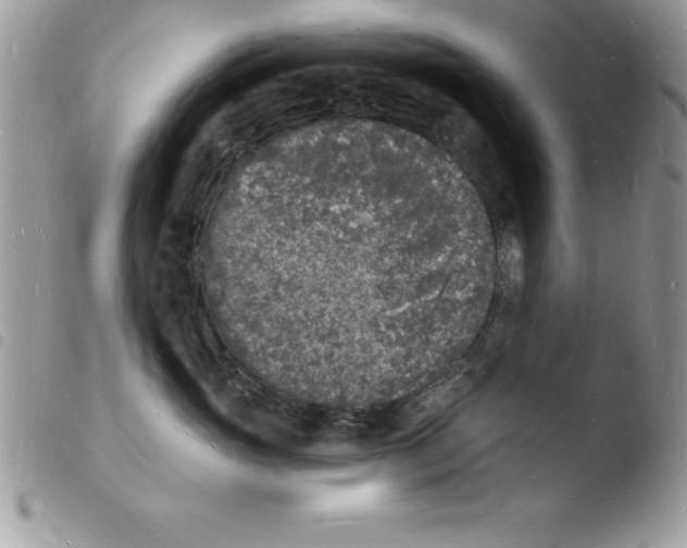 X0000103970765200810171924
